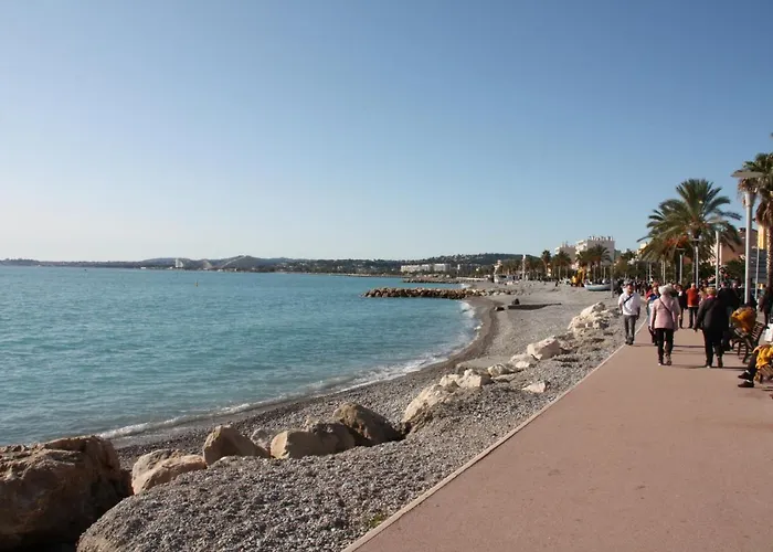 Studio F1 Vue Mer A 30M Des Plages